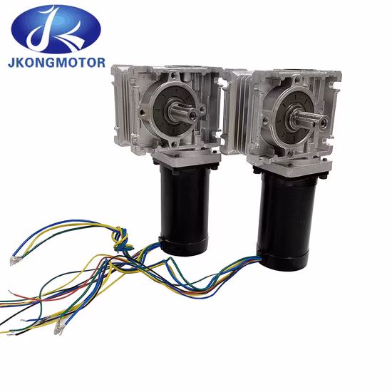 24V 36V 48V 57mm NEMA 23 couple élevé pour lève-vitre réducteur de vitesse à vis sans fin BLDC moteur à courant continu sans balais